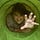 Go to the profile of James Durbin