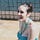 Go to the profile of Gabriela Filippo