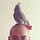 Go to the profile of Joe Liu