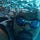 Go to the profile of Aayush Bhardwaj