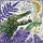Go to the profile of New Orleans Musings