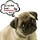 Go to the profile of Petre Locationsg