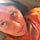 Go to the profile of Sabrina Giacardi