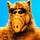Go to the profile of yogibimbi