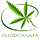 Go to the profile of Olio Di Canapa
