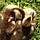 Go to the profile of Paul E Blankenship