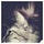 Go to the profile of Yulin ： 中子星