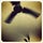Go to the profile of Anup K Nair