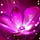 Go to the profile of olala