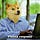Go to the profile of Evan Cameron