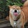 Go to the profile of Mutian Wang