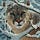 Go to the profile of Brindusa-Katalin Poenaru