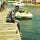 Go to the profile of Harish Koppuravuri