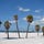 Go to the profile of Tampa Live