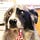Go to the profile of ai_Idiotic|