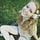 Go to the profile of Genevieve Glatsky