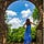 Go to the profile of Jennifer K Jones
