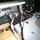 Go to the profile of software mechanic