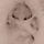 Go to the profile of Scottie Westfall
