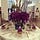 Salon Yakamoz