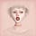 Go to the profile of Irene Roghi