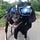 Go to the profile of S. D. Goat