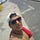 Go to the profile of Icaro Novaes