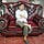 Go to the profile of Iwan Supriatna