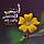 Go to the profile of Koutb Semo