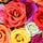 Go to the profile of Ashok Kumar K