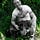 Go to the profile of Walter Grasso