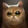 Go to the profile of Byn