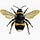 Go to the profile of Bumblebee 9337