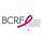 Go to the profile of The Breast Cancer Research Foundation