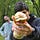 Go to the profile of David Samudio