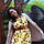 Go to the profile of Gesilayefa Azorbo