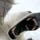 Go to the profile of Nanook