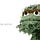 Go to the profile of Gregory Pyatt