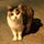 Go to the profile of Hiro