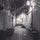 Go to the profile of Parallel LookingGlass