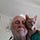 Go to the profile of Jim Slark