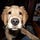 Go to the profile of Tina Foster Caldwell