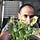 Go to the profile of Afshin Mokhtari