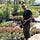 Go to the profile of Mert Daysal