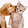 Go to the profile of Jerri Dias