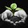 Go to the profile of Perennial Polyculture