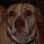 Go to the profile of Stan Bryars