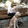 Go to the profile of Cyndi Perlman Fink