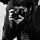 Go to the profile of Ertan Hekimler