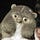 Go to the profile of Kon Nakayama